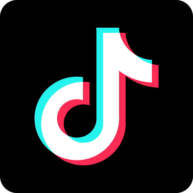 Unlocking the Power of TikTok for Real Estate Agents in 2023