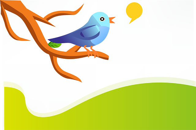 10 Tips for Leveraging Twitter for Real Estate Agents